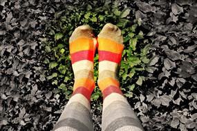 striped multicolor tights on the legs