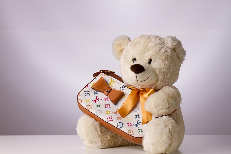 Fashionable teddy bear with bag