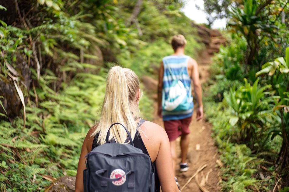 hikers in the forest in a blurry background