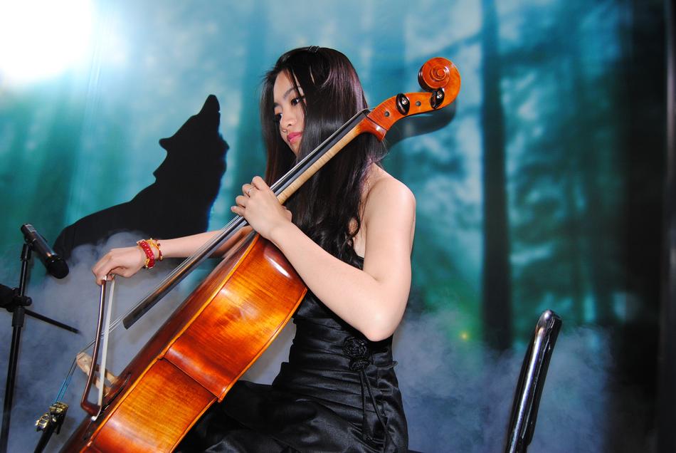 Beauty Model Violinist