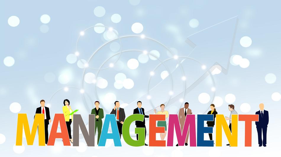 management executive group
