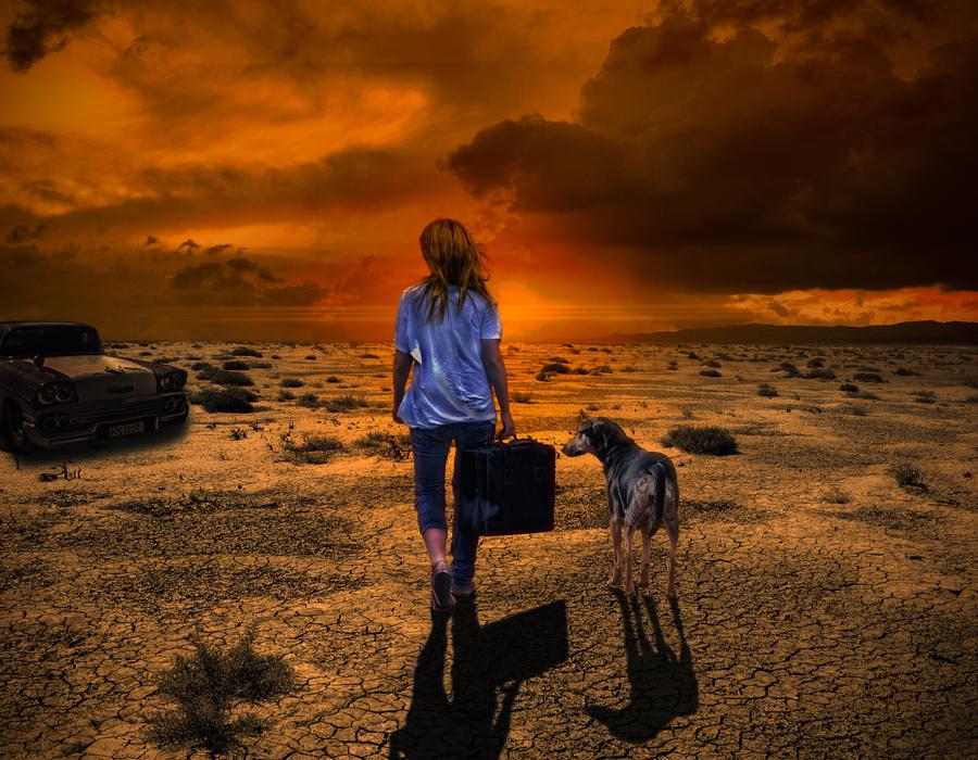 woman with suitcase and dog in desert landscape at dusk