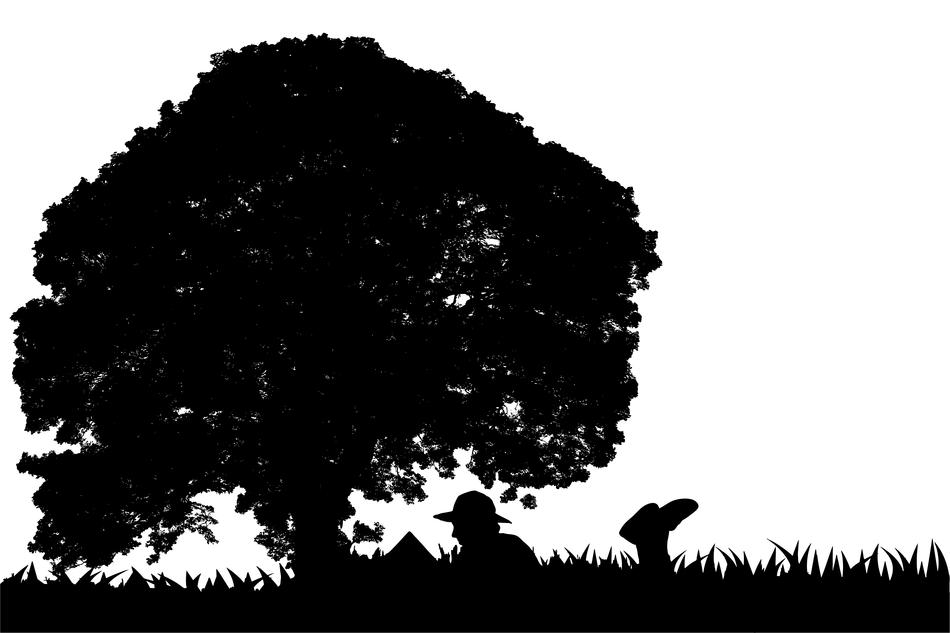 girl reading book under tree