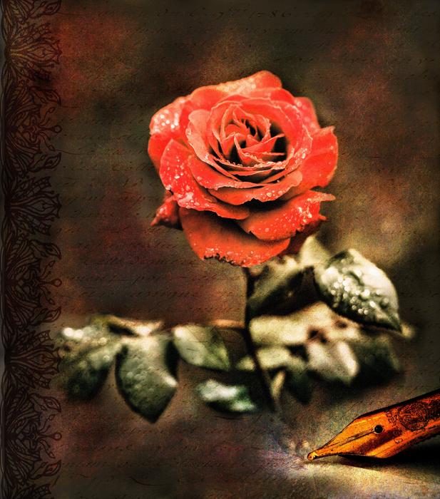 rose poetry love