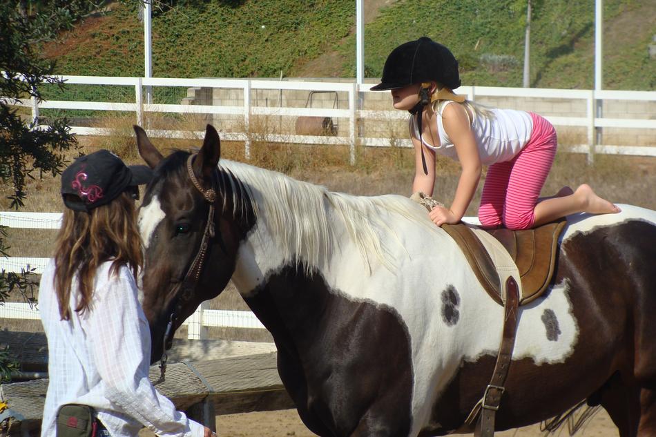 children learn to ride a horse