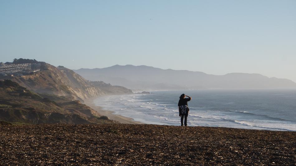 Coastline Viewing Person