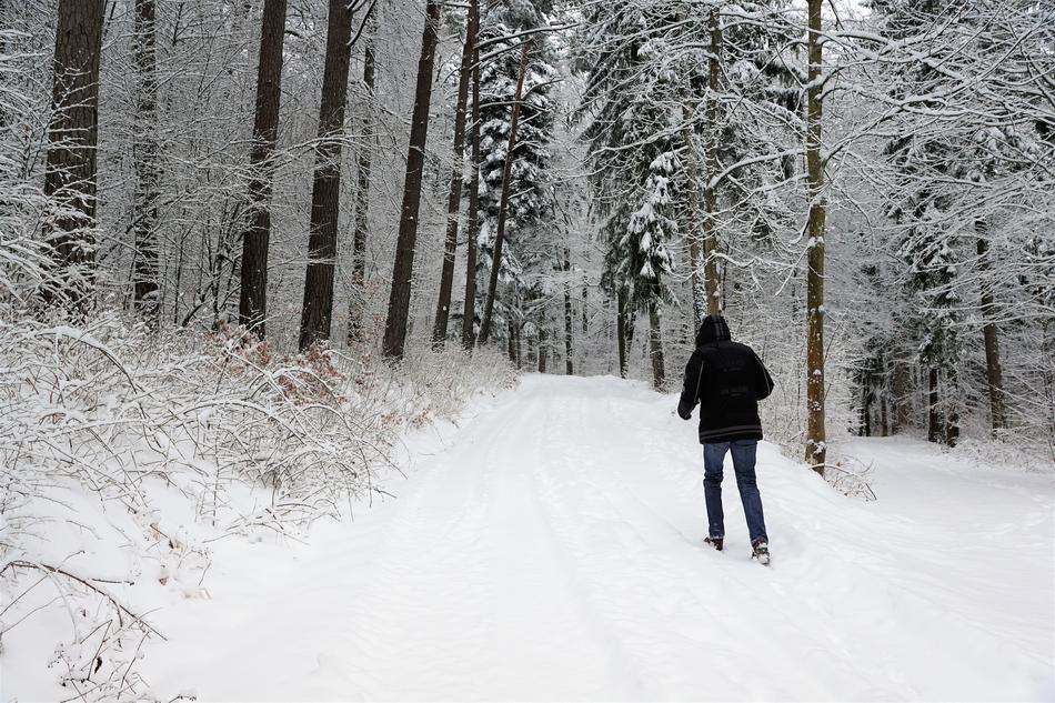 Snow Winter Cold