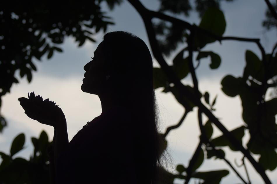 beautiful woman Silhouette beneath tree at dusk