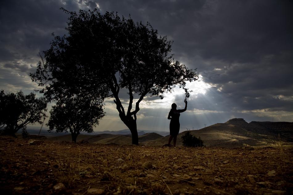 silhouette of a woman under a tree at sunset in Madrid, Turkey