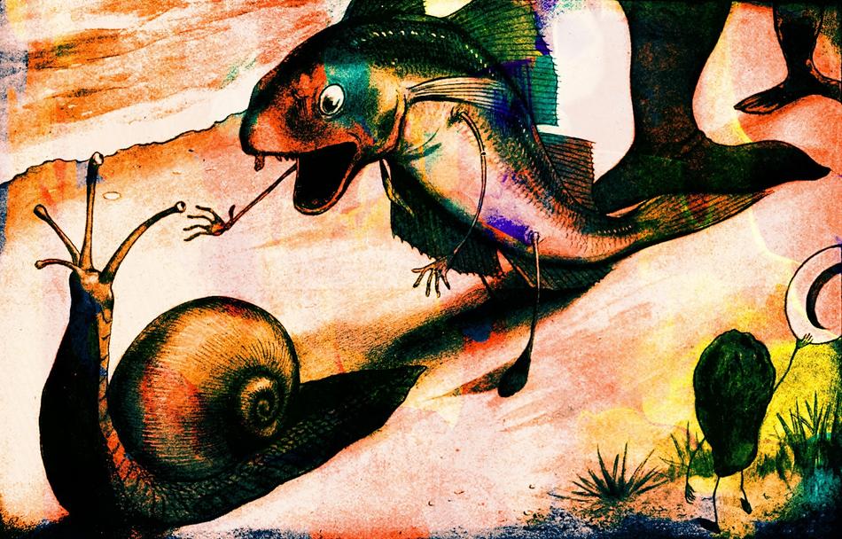 vintage book illustration