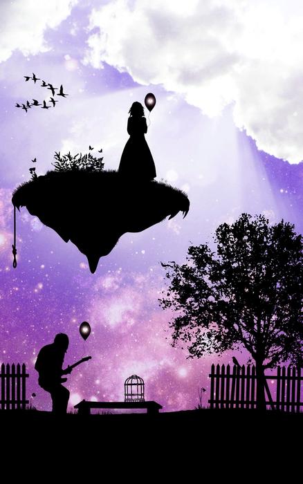 woman and birds starry sky