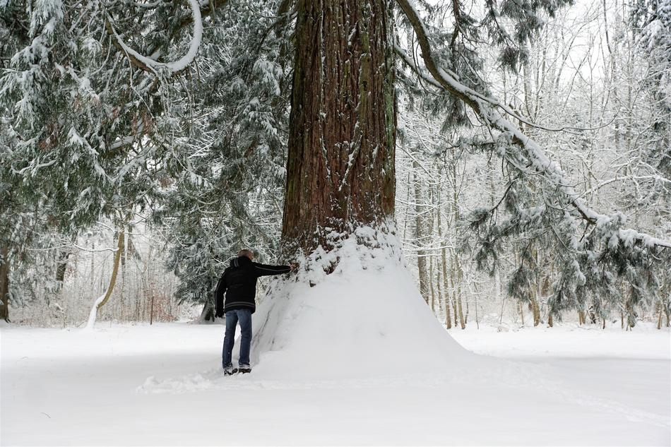 Snow Winter Cold