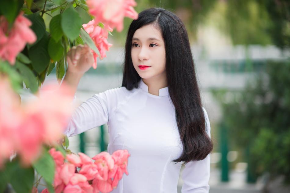 Vietnamese girl in white ÁO DàI, near the pink flowers and green leaves
