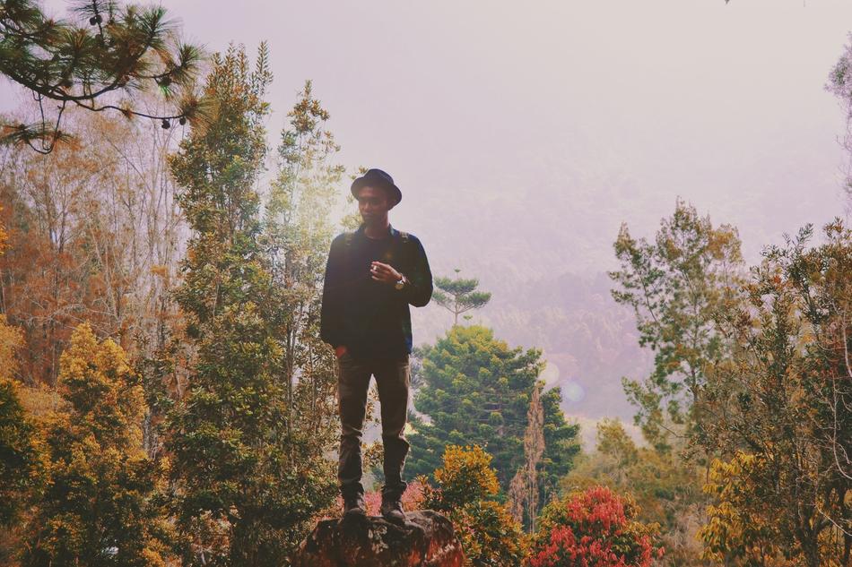 man in the foggy forest
