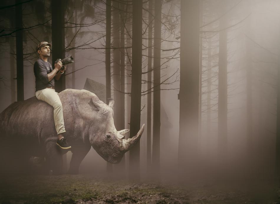 man with a camera on a rhinoceros in a mystical forest