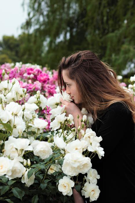 Sniffing Flowers Roses