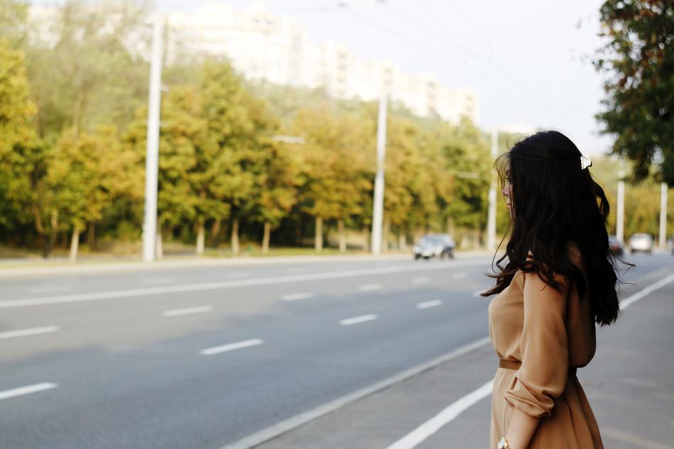 girl in a brown dress on the side of the road
