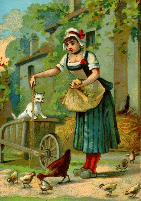 postcard chickens france