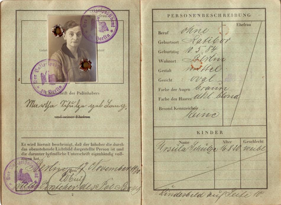 Passport Old Vintage
