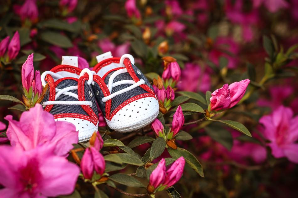shoe and pink flower