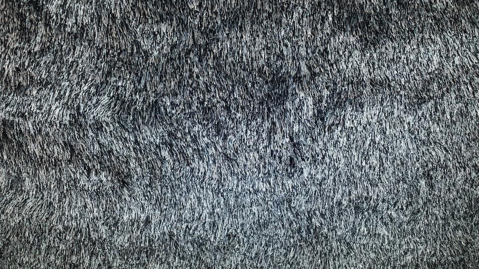 Carpet Background Backdrop