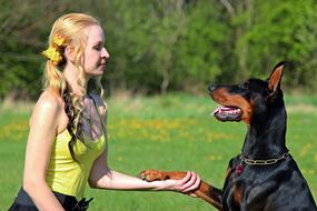 Doberman Blonde Woman Friendship