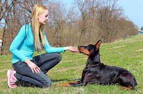 Doberman Blonde Girl Love Woman