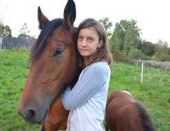 Horse Equine Girl
