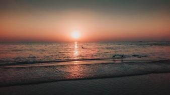 Beach Sea Sun