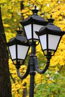 Lantern Park Autumn