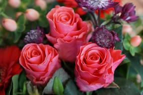 bouquet of roses and purple flowers, close-up