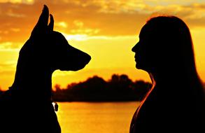 Doberman Woman Silhouette