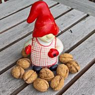 Christmas Woman Imp Tomte Swedish