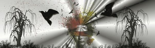 banner header background woman