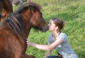 Kiss Shetland Pony Girl Young