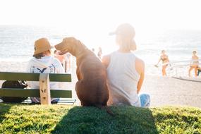 People on beach at sunlight