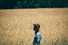 Man in brown hat at golden field