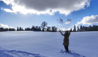 Snow Winter Cold