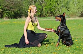 Doberman and Blonde Woman Friendship