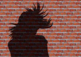 woman hair model shadow on brick wall