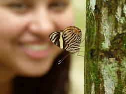 striped butterfly on a tree on the background of a smiling girl