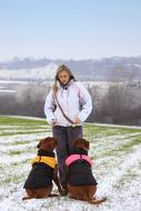 woman with two Bordeaux Dogs on snowy field