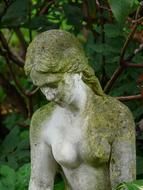 stone figure of the woman in moss among green plants