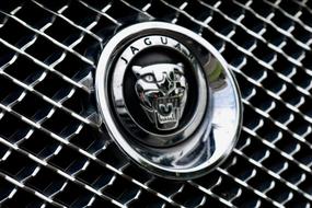 Jaguar Auto icon
