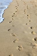 show traces on the beach sand