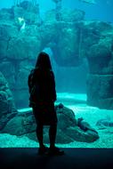 Girl standing near the aquarium with fishes and corals