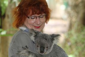 Red-haired woman holding cute, beautiful and colorful koala