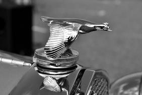 Black and white photo of the logo of the car