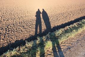 play of shadows in arable field