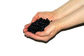 Berries Fruit hands
